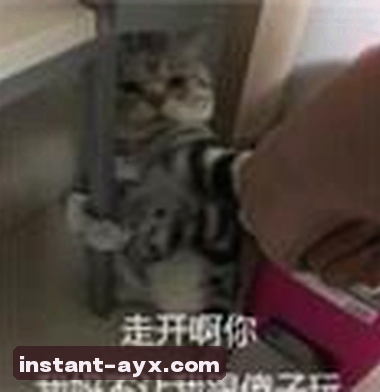 张伟
